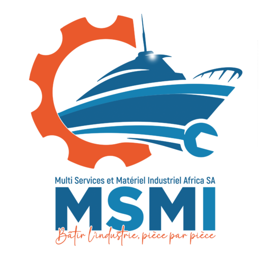 LOGO MSMI AFRICA